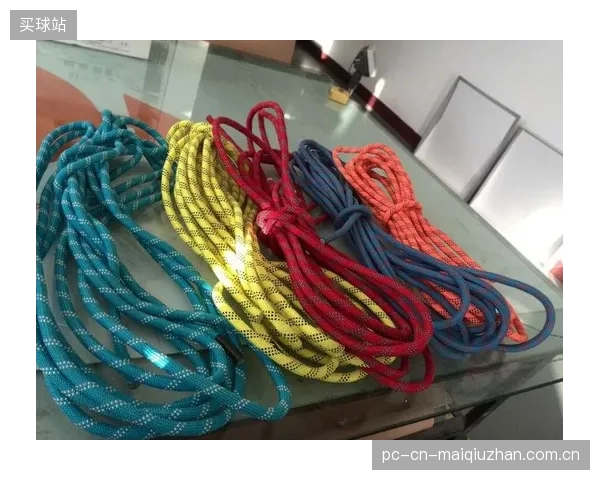 多数攀岩教练的知识体系停留在绳索与主锁,对防坠器壳体侧向冲击的风险认知几乎为空白 多数攀岩教练的知识体系停留在绳索与主锁,对防坠器壳体侧向冲击的风险认知几乎为空白
